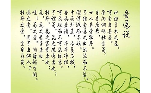 愛蓮說優(yōu)秀說課稿范文