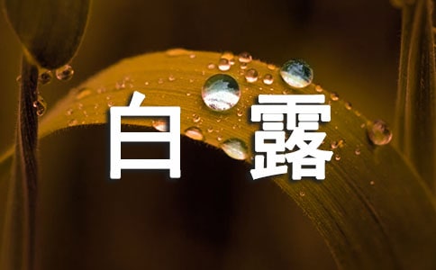 ��¶Ԋ�~���p ��¶