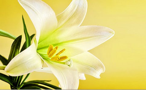 �P(gu��n)�ڰٺϻ����i�Z���i��
