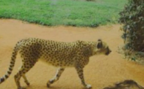 ��Ҋ������׷��ʲô�A��