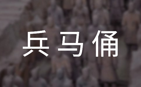 秦始皇兵馬俑展覽觀后感