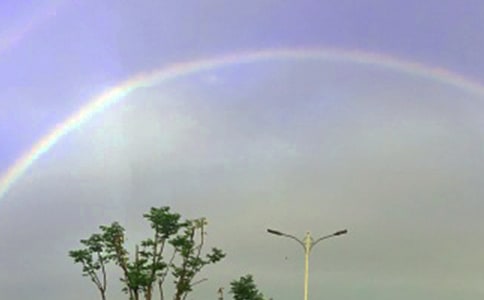 �L(f��ng)���Ĳʺ����ģ����x24ƪ��