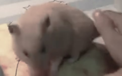 �}����^����ӛ