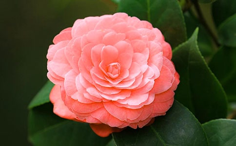�軨���꼉��������600�֣����x28ƪ��