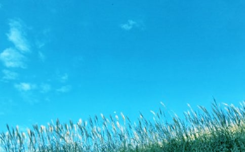 ���L��������