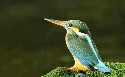 ���B���꼉�Z�Ľ̰�