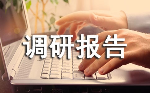 2017關(guān)于扶貧工作調(diào)研報告
