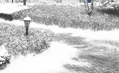 ���������(bi��o)�Z�����x50�䣩