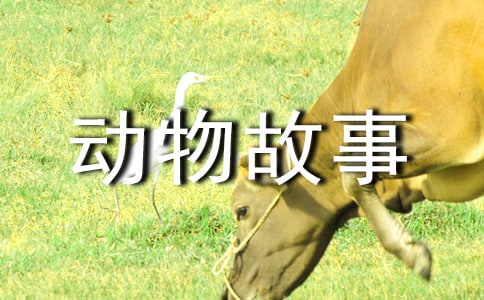 �x�����D������¡��и�(�R��11ƪ)