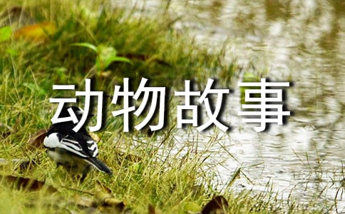 �Ǻ�ɽ���ك��������10��