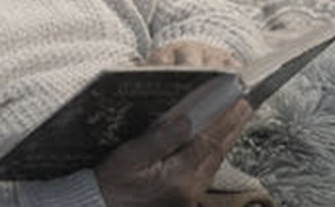 �x����(hu��) �x����(hu��)�l(f��)�Ը�
