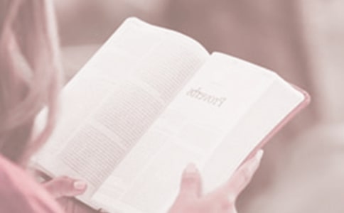 �D���^�����x���ջ��(d��ng)���Y(ji��)