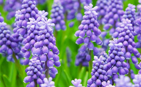 ���꼉�L(f��ng)�����^����ӛ400����ƪ