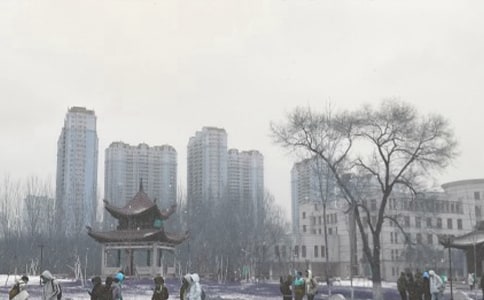 形容風(fēng)雪美景的成語