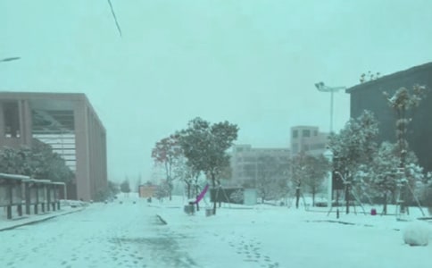 �P���Lѩ�����ĳ��Z��ȫ