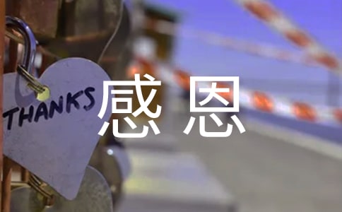 感恩母親的素材作文
