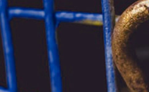 �x��F�����Ӿ����и�