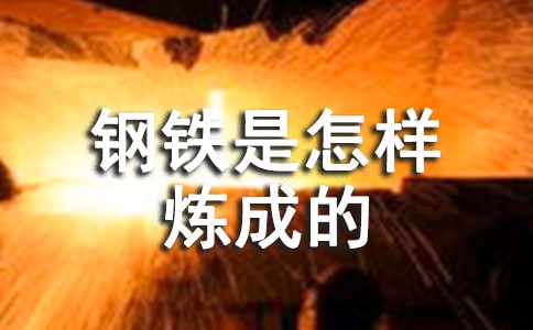 《鋼鐵是怎樣煉成的》給我的啟示作文(精選31篇)