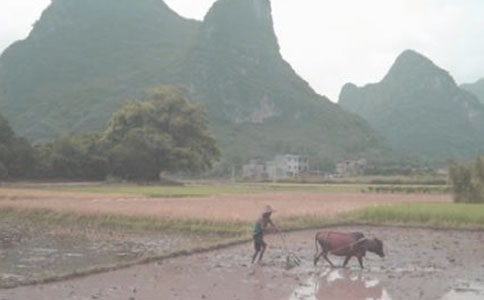 周公解夢夢見耕田