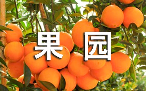 小學(xué)生暑假果園游記作文(精選18篇)