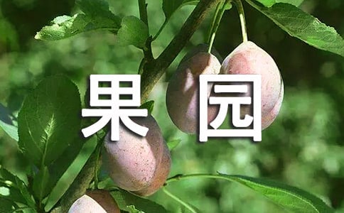 �y���Ĺ��@�����꼉(j��)��������600��