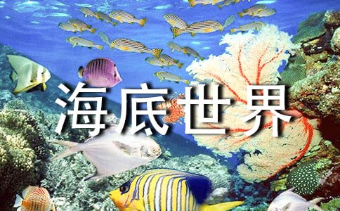 ���꼉(j��)������������