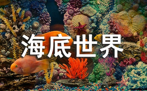 ���꼉������������
