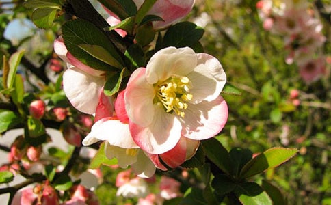 �����Ļ����ģ����x24ƪ��