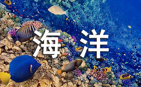 �茑����ı���������Щ