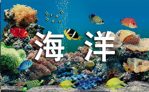 �ΘO�غ�������