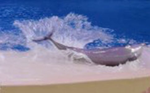 ���ຆ�P�����E�D