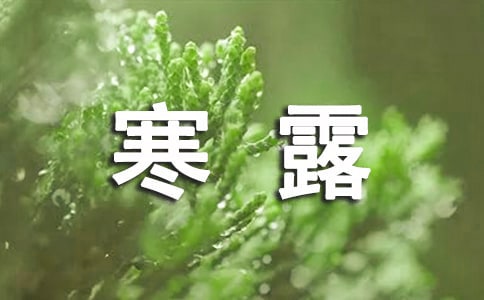�P(gu��n)���茑(xi��)��¶��(ji��)����V�Z(y��)�����x160�䣩