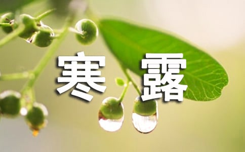 С�W(xu��)���P(gu��n)�ں�¶��(ji��)��Ě����V�Z