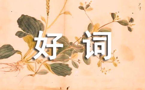 �P(gu��n)���Q�ĺ��~�þ�