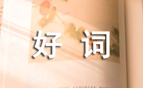 收集好詞好句摘抄