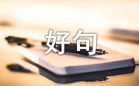 關(guān)于二月再見,三月你好句子座右銘匯總70句