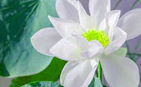 �茑�ɻ��Ĺ�Ԋ(sh��)�~[��(y��u)�x15ƪ]