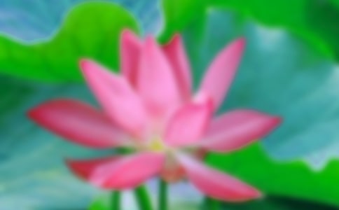 �P(gu��n)���茑�ɻ��Ĺ�Ԋ