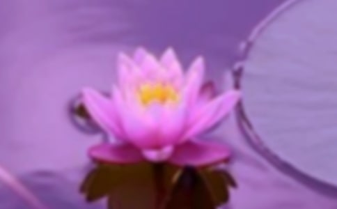 ���C���(hu��)�ĸ�һ�꼉��ӛ350��