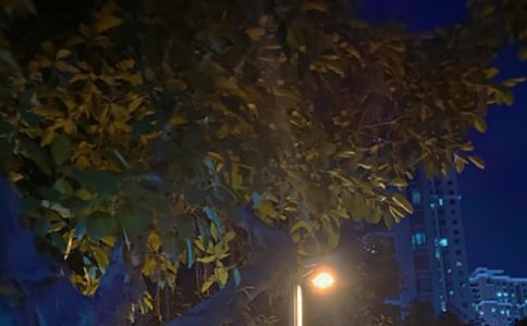 ��ҹ�������F(xi��n)��Ԋ��