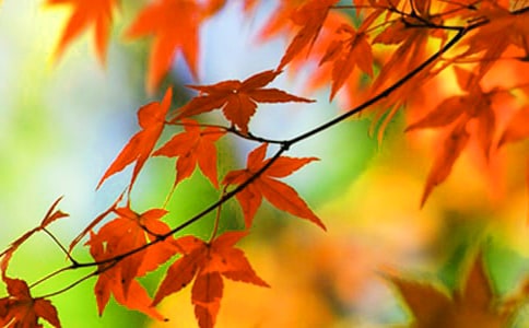 ���l(xi��ng)�ļt�~�����꼉(j��)��������