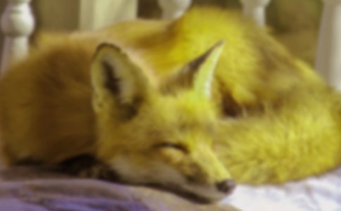 ��(j��ng)��ͯԒ��������؂�c���f