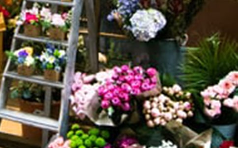 花店活動(dòng)促銷方案