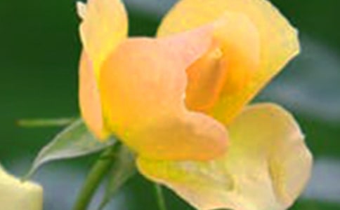 ���x�Ļ������ģ�ͨ��24ƪ��