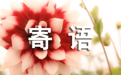 小學(xué)步入初中寄語(精選70句)