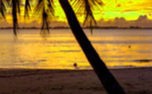 �ҵ���һ������ӛ