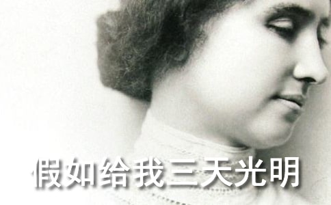 �x������o������������и�850��