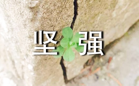 堅(jiān)強(qiáng)不屈的竹子