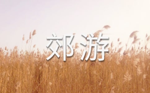 ��(sh��)�õĽ��ζ��꼉(j��)����300����ƪ