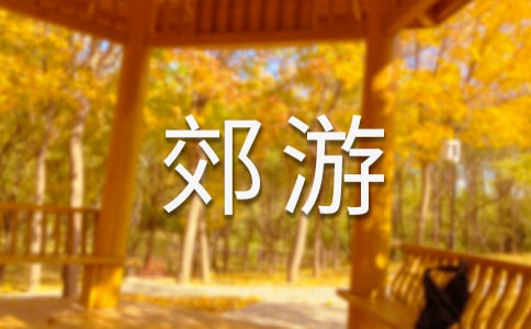 ���ζ��꼉(j��)����300�ּ���8ƪ
